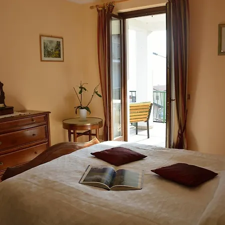 Antico Glicine *